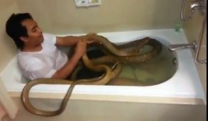 Il prend un bain avec son cobra royal.