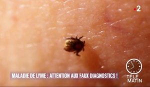 Santé - Maladie de Lyme, trop de faux diagnostics