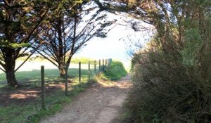 Balade sur le littoral