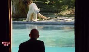 Passer la nuit en tête à tête avec un ours polaire au zoo de La Flèche