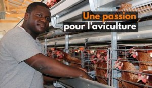 Guinée : Une passion pour l’aviculture