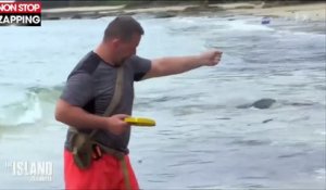 The Island Célébrités : Les candidats frôlent le drame après avoir pêché un poisson mortel (vidéo)