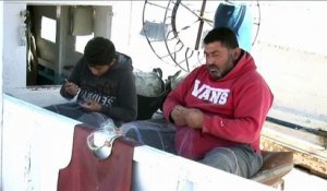 Au Liban, des pêcheurs militent pour préserver la faune marine