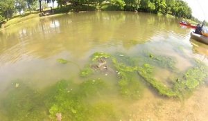 Ce pecheur surprend un serpent qui embarque un gros poisson chat