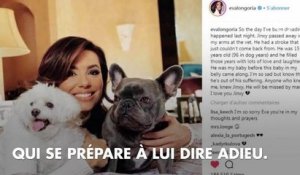 "Le jour que je redoutais tant est arrivé" : Eva Longoria endeuillée