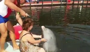 Mamie fait connaissance avec un dauphin