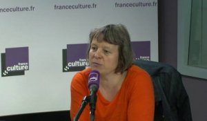 Séverine Dusollier : "On s’est un peu éloigné de l’objectif initial de favoriser l’exploitation des œuvres sur internet"