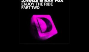 Roy Davis Jr - Enjoy The Ride (Human Life Remix) [Full Length]