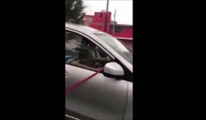 Un couple filmé en train de traîner son chien avec sa voiture attire la foudre des internautes