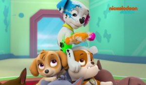 Paw Patrol : la Pat'Patrouille | Un immense gâteau | NICKELODEON JUNIOR