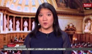 Immigration, zone euro, Brexit : le débat au Sénat sur l'Europe - Les matins du Sénat (27/06/2018)