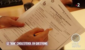 Santé - Le bon cholestérol en question