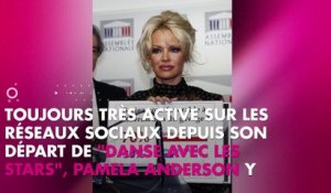 Pamela Anderson : sa poitrine dévoilée sur Instagram cache un mystérieux message