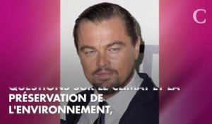 Ségolène Royal se lance dans le cinéma et contacte Leonardo Di Caprio et Marion Cotillard