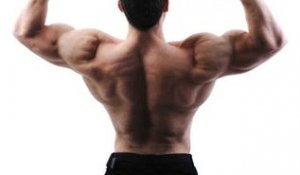 Les exercices pour muscler ses épaules
