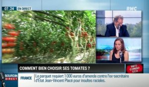 Dupin Quotidien : Comment bien choisir ses tomates ? - 12/07