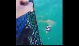 Un marin de la Marine nationale reçoit la visite d'un requin