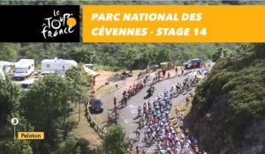 Parc national des Cévennes - Étape 14 / Stage 14 - Tour de France 2018