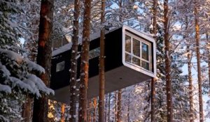 Cette maison dans les arbres est fabriquée afin de pouvoir admirer les aurores boréales
