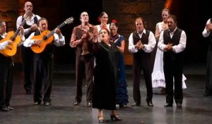 Le flamenco à la conquête du Liban