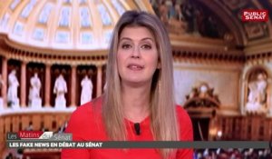 Tables rondes Fake News - Les matins du Sénat (27/07/2018)