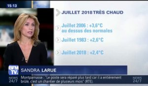 Ce mois de Juillet est le plus chaud en France depuis 2006