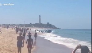 Des migrants débarquent sur une plage (Espagne)