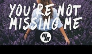 Chelsea Cutler - You're Not Missing Me (Lyrics / Lyric Video)