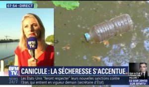 Canicule: "Il faudra du temps pour que certains cours d'eau sortent de la situation de crise"