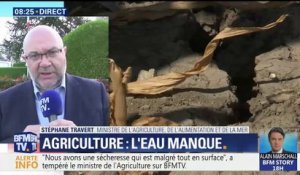 Le ministre de l'Agriculture évoque une sécheresse "en surface" et un niveau "correct" des nappes phréatiques