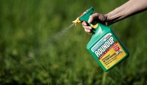 Etats-Unis : premières délibérations dans le procès Monsanto