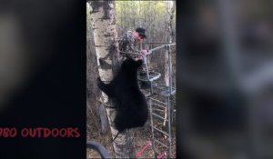 Ce chasseur reçoit la visite d'un ours...