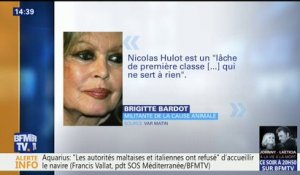 Nicolas Hulot répond à Brigitte Bardot qui l'avait traité de "lâche de première classe"