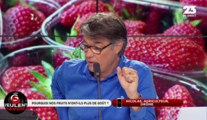 Les GG veulent savoir : Pourquoi nos fruits n'ont-ils plus de goût ? - 15/08