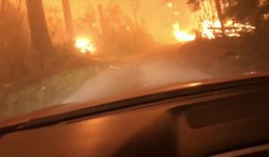 Les images incroyables d'un automobiliste qui traverse une foret en feu