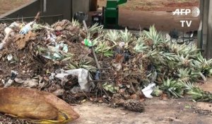 Au Benin, les ordures sont devenues de l'or