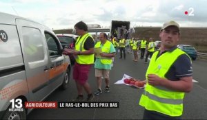 Agriculture : le ras-le-bol des prix bas