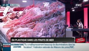 Dupin Quotidien : du plastique dans les fruits de mer - 28/08