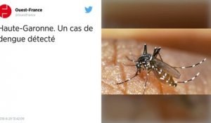 Haute-Garonne. Un cas de dengue détecté.