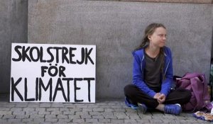 Une collégienne suédoise fait grève pour le climat