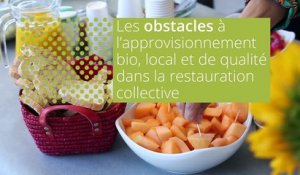CORALIM Occitanie 2018 : Interview de Sandra Estrade