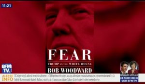"Déséquilibré", "élève de CM2"... les collaborateurs de Trump l'accablent dans le livre "Fear" de Bob Woodward