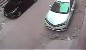 Il essaye de braquer un voiture en cassant la vitre avec une grosse pierre !