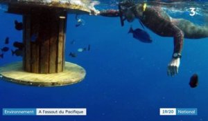 Environnement : Benoît Lecomte à l'assaut du Pacifique à la nage