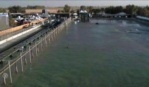 Adrénaline - Surf : Filipe Toledo with a 3.87 Wave  from Surf Ranch Pro, Men's Championship Tour - Qualifying Round