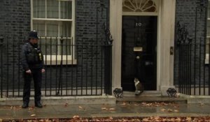 En plein Brexit, Larry, le chat de Theresa May se retrouve à la porte