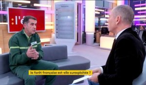 Philippe Canal sur l'industrialisation des forêts: "L'augmentation de la récolte du bois est excessive"