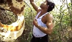 Un homme se couvre le corps de millier d'abeilles