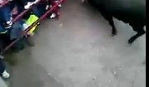 Un homme se fait violemment agresser par un taureau lors d'un lacher dans une ville espagnole