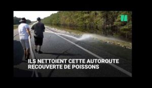 Une autoroute recouverte de poissons par l'ouragan Florence